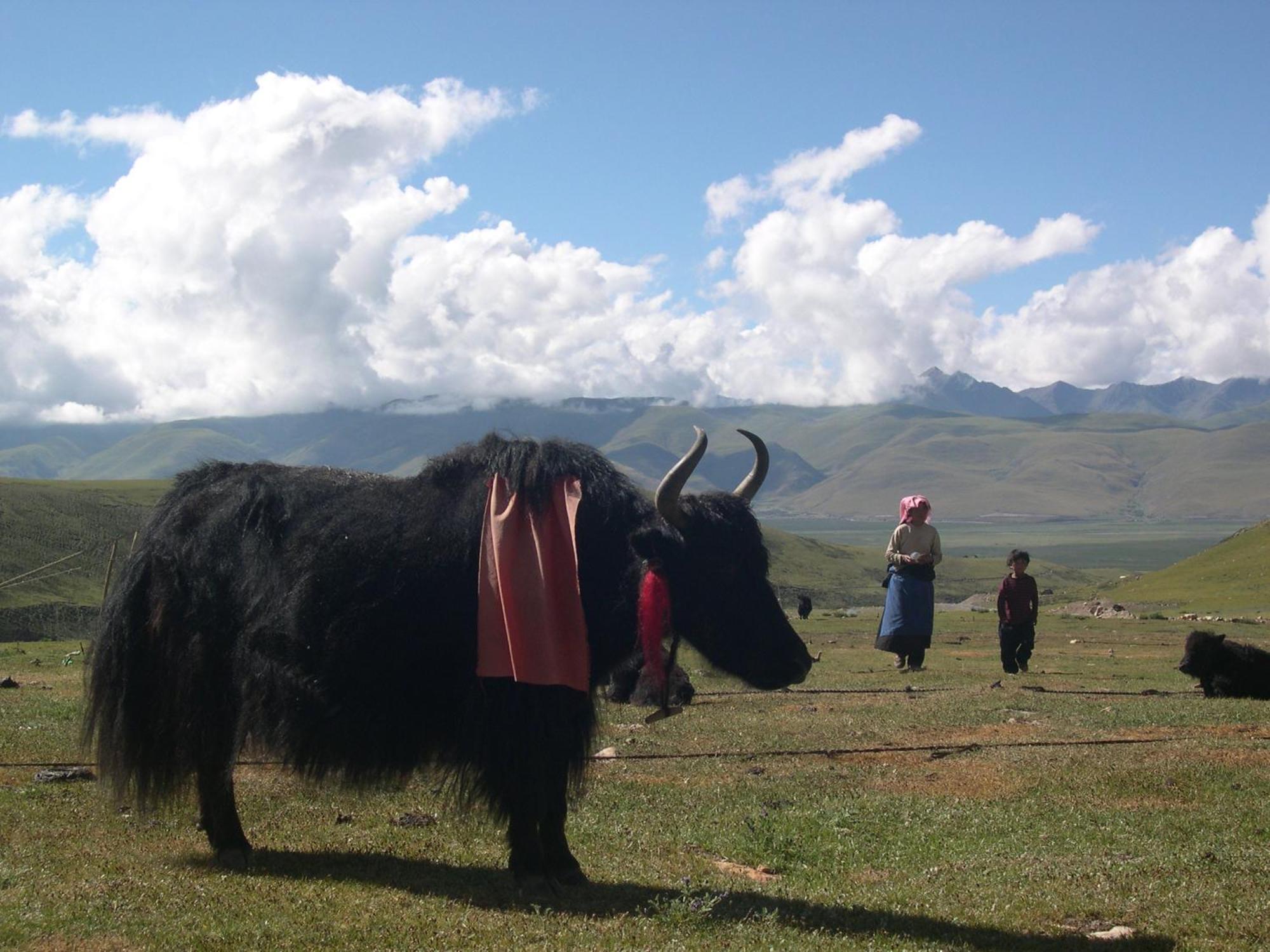 B&B Piccolo Tibet Lavenone Ngoại thất bức ảnh